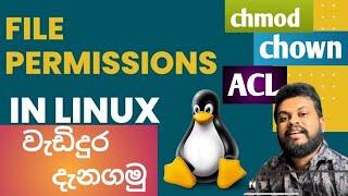 Linux File Permissions - Part 02 | ලිනක්ස් සිංහලෙන් - Beginners 05 | Stay With Nuwan