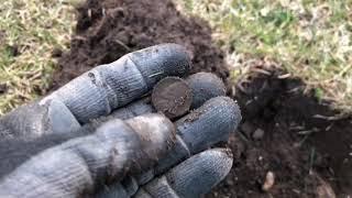 Metal Detecting for Beginners