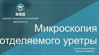 97  Микроскопия отделяемого уретры