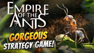 A Beautiful Blend of Strategy and Buggy Role-Playing! | Empire of the Ants