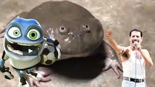 we are the champions #queen frog cover
