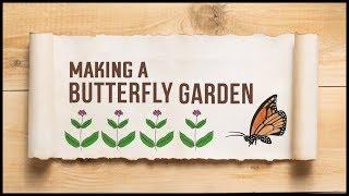 How to Create A Butterfly Garden