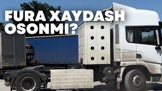 70000 $ TURADIGAN FURA, XAYDASH OSONMI?