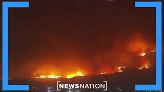 Wildfires 'absolutely devastating:' Los Angeles City Council President | Morning in America