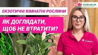 Вони повинні бути в кожного. ТОП-5 екзотичних кімнатних рослин│Florium.ua