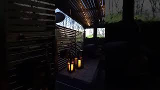 Custom steel garden pergola with wood fired pizza oven and table, built around a tree.