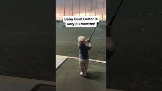  Baby Goat Golf Prodigy! ️‍️