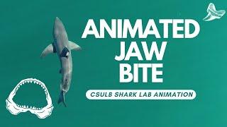 Animation: Shark Jaw Bite