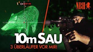 SAU NAH  SAU GUT ⁉️ Wie schaff ich es auf 10m Schussdistanz  an die 3 Überläufer zu pirschen?