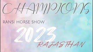 Champion STALLIONS OF RANSI HORSE SHOW 2023 RAJASTHAN