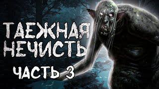Мистическая история про тайгу.  Мистические истории / Таёжные истории / Страшные истории