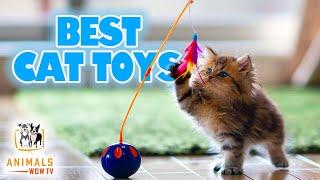 Top 10 Best Cat Toys You Can Buy Online 20-21