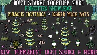 Bulbous Lightbugs & Naked Mole Bats Actually Amazing? - Don't Starve Together [Forgotten Knowledge]