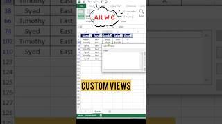 Excel Time-Saving Tricks: Master Custom Views for Efficient Data Management!