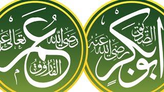 Nabi (SAW) K sary sahaba jannati hy || Allah un se razi hy ||