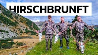 Hirschjagd 2024 in den Karpaten zur Brunftzeit - Eine Jagdreise der Extraklasse! #waldvierteljagd