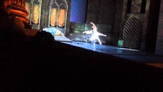 Romeo & Juliet -  Marianela Nuñez Gabriele Corrado -Bedroom pdd