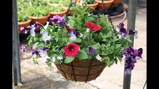 Planting Hanging Baskets