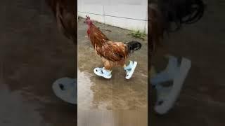 Чего у вас дождь то идёт?