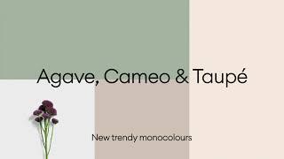 ALVIC - New monocolours 2023: Agave, Cameo and Taupe