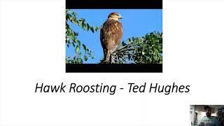 Ted Hughes - Hawk Roosting: Analysis