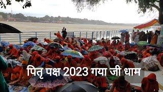 Pitra paksha Mela 2023 || Gaya web tv || Gaya ke public web tv || pitra paksha Gaya ji Dham || Gaya