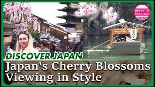 DISCOVER JAPAN Viewing Japan’s Cherry Blossoms in Style !