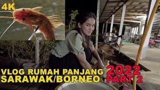 Perkahwinan/Air Terjun di Kampung Dayak Iban/4K/Rumah Panjang