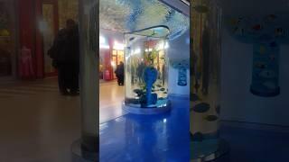 The COEX Aquarium 