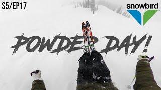 May POWDER day at SNOWBIRD!