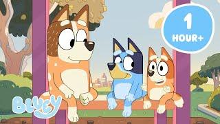 LIVE: Exploring Bluey's World   | Bluey's Best Moments of Discovery!  | Bluey