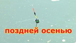 Трудовой поплавок в конце осени. Рыбалка на маховую удочку в ноябре. Лоля рыбы осенью на удочку