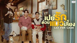 เปย์รักด้วยแมวเลี้ยง (Cat for Cash) | GMMTV 2025