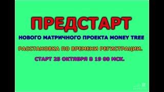 Пред Старт! новый супер проект Money Tree мин вход 400 руб Возврат с первого пар