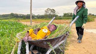 Taka fell asleep on the plant field making Mom worried