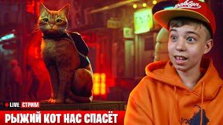 STRAY - Рыжий Кот из будущего  Проходим Stray #1