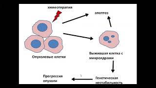 Подгруппа к.б.н., доц. О. П. Кисуриной-Евгеньевой