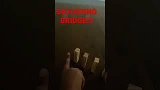 EPIC DOMINOS BRIDGE!!!