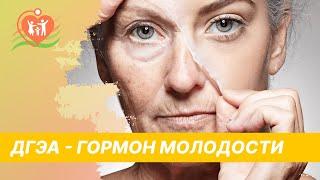  ДГЭА - гормон молодости. Дегидроэпиандростерон