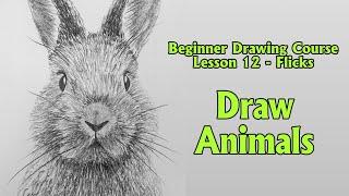 How to Draw Animals Using Flicks - Drawing for Beginners Course 12