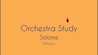 Salome(Orchestra Study)/サロメ(オーケストラスタディ)