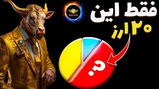 فقط به این 20 ارز نیاز دارید: بهترین انتخاب برای سبد سرمایه گذاری