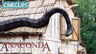 Killer Anaconda! | Anaconda 3: Offspring | CineStream