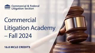 Commercial Litigation Academy | The New York State Bar Association