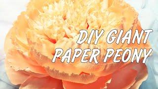 Giant crepe paper flowers tutorial | Giant paper peony diy