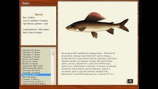 Русская рыбалка 2.4 Витим.Хариус