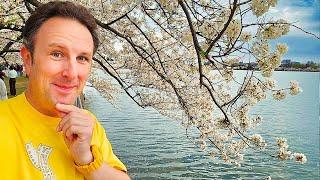 Answering Your Frequent Questions About Yellow Productions