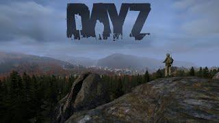 DAYZ | АТМОСФЕРНОЕ ВЫЖИВАНИЕ С НУЛЯ НА СЕРВЕРЕ МИНИСТР | 3PP | В СОЛО!