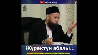 Журоктун абалы