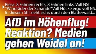 Alternative steigt! Reaktion der Medien? Weidel wird direkt angegangen & der Parteitag mit NS vergl.